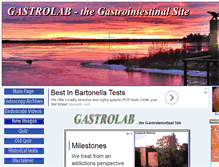 Tablet Screenshot of gastrolab.net